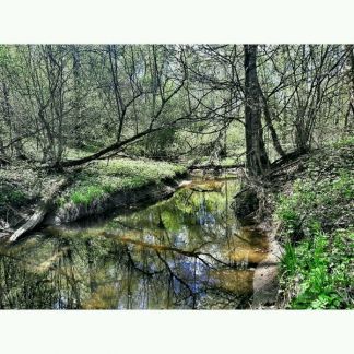 ������ ��������� ������� � ��� ������� (���� �5)