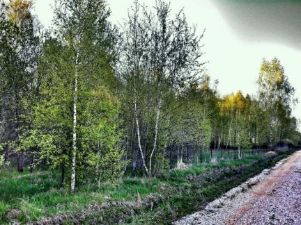 ������ ��������� ������� � ��� ������� (���� �6)