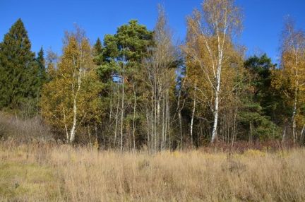 ������ ��������� ������� �� 77 �� �� ���� � �� ��������� ���� (���� �6)