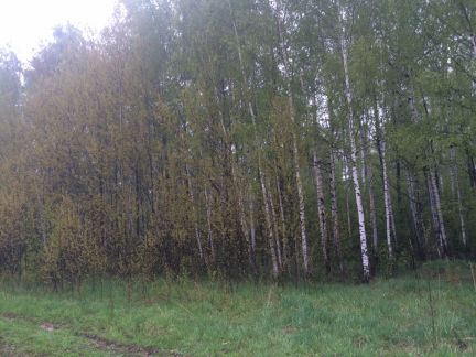 ������ ��������� ������� �� 45 �� �� ���� ������������� ������ 6443 (���� �9)