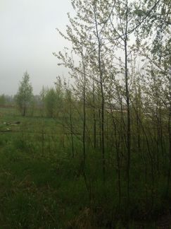 ������ ��������� ������� �� 45 �� �� ���� ������������� ������ 6443 (���� �10)