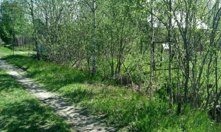 ������ ��������� ������� ������� �������� (���� �3)