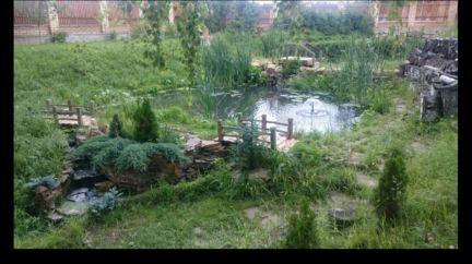 ������ ��������� ������� � �� ������ ��� �.������. ����������� ����� (���� �16)