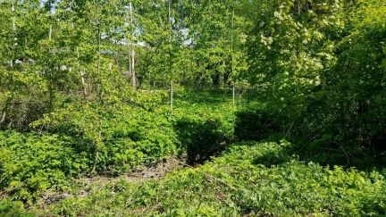 ������ ��������� ������� � ��� ����� �� 14 �� �� ���� ��������� ����� (���� �2)