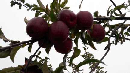 ������ ��� 15 ����� �.�.�������� �.������ ��.������ ����� �.13 (���� �7)