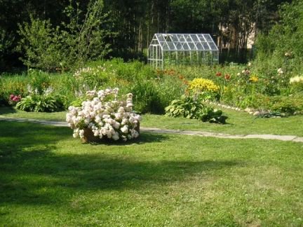 ������ ��������� ������� � ��� ���� (���� �5)