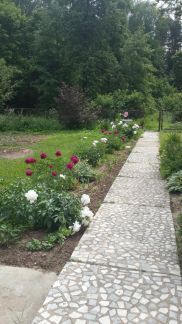 ����� ��� � �� ����������� (���� �10)