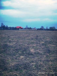 ������ ��������� ������� � ����� � �������� (���� �4)