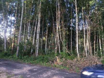 ������ ��������� ������� �� 28 �� �� ���� �������� (���� �2)