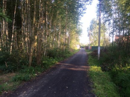 ������ ��������� ������� �� 28 �� �� ���� �������� (���� �4)