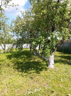 ������ ��� �� ���������� �-� �.�������� (���� �3)