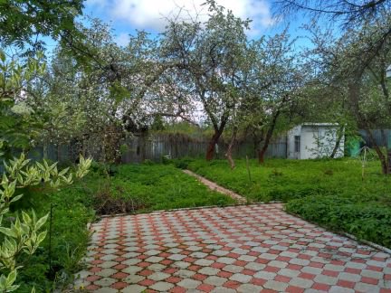 ������ ��������� ������� ��� ������-5 ���������� ������� �������� (���� �4)