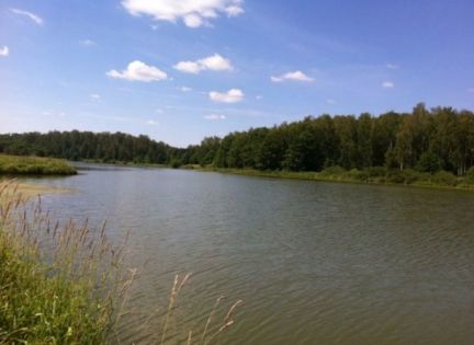 ������ ��������� ������� �� 50 �� �� ���� ��� ��������� (���� �4)