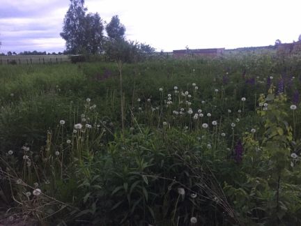 ������ ��������� ������� 810 ����� ��������������� ����� ������� (���� �2)