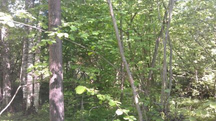 ������ ��������� ������� ��� ������ (���� �4)