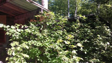 ������ ��������� ������� ��� ������ (���� �2)