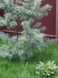 ������ ��������� ������� ����������� ����� 84 �� �� ���� ������ (���� �16)