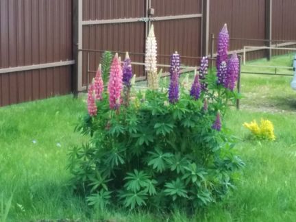 ������ ��������� ������� ����������� ����� 84 �� �� ���� ������ (���� �5)