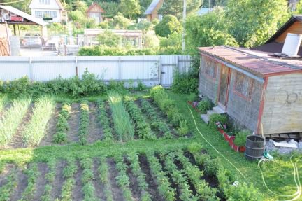 ������ ��� � ��� ������ (���� �3)