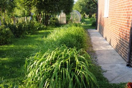 ������ ��� � ��� ������ (���� �7)