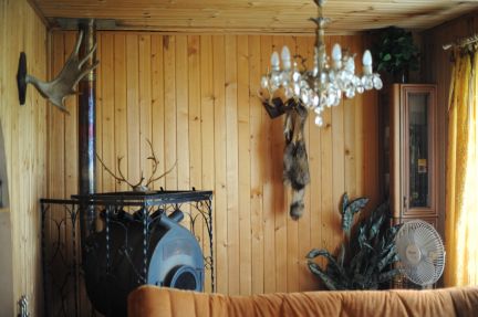 ������ ��� � ��� ������ (���� �14)