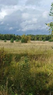 ������ ��������� ������� ����������� ����� �. ������� (���� �5)