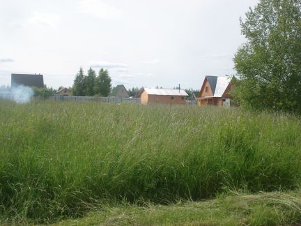 ������ ��������� ������� � ��� ����� �������� ����� � �������� (���� �5)