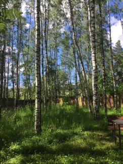 ������ ��������� ������� ���������� ����� ��� . ������������ �� ����������� (���� �2)