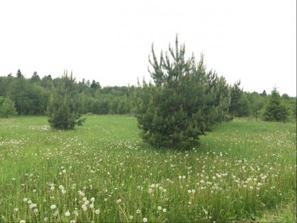 ������ ��������� ������� �� 70 �� �� ���� ������� ��������� (���� �2)