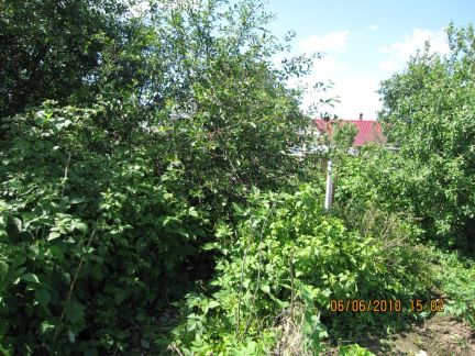 ������ ��������� ������� �� 5 �� �� ���� ��������� �-�� ���. ������ (���� �6)