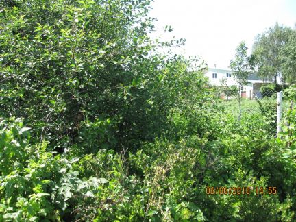 ������ ��������� ������� �� 5 �� �� ���� ��������� �-�� ���. ������ (���� �7)