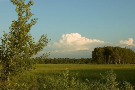 ����� ��� �� 20 �� �� ���� ���������-4 �������� ����������� �. (���� �3)