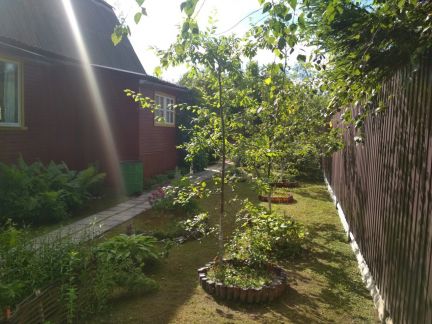 ������ ��������� ������� ���������� ����� �. �������� ��� ������-1 (���� �9)