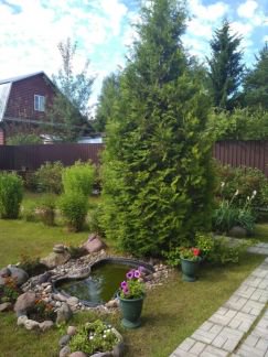 ������ ��������� ������� ���������� ����� �. �������� ��� ������-1 (���� �10)