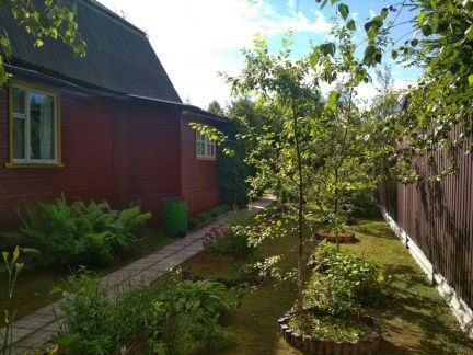 ������ ��������� ������� ���������� ����� �. �������� ��� ������-1 (���� �11)