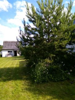 ������ ��������� ������� ��� ����������� (���� �5)