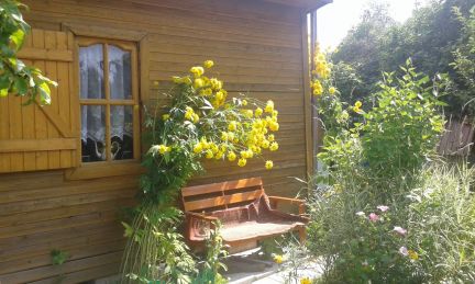 ������ ��������� ������� � ��� �������� �� 40 �� �� ���� (���� �2)