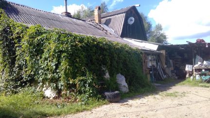 ������ ��� ���� ������� ���������� ����� (���� �12)