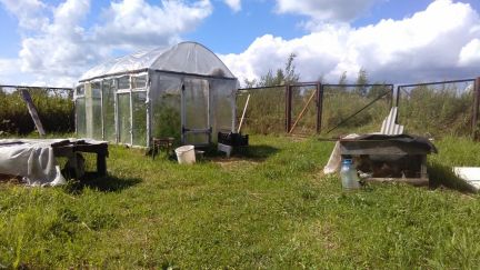 ������ ��� ���� ������� ���������� ����� (���� �13)