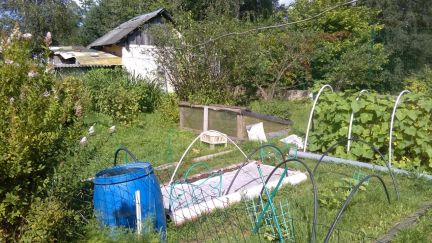 ������ ��� ���� ������� ���������� ����� (���� �14)