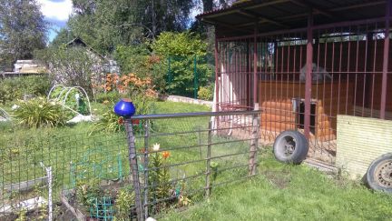 ������ ��� ���� ������� ���������� ����� (���� �16)