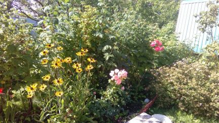 ������ ��� ���� ������� ���������� ����� (���� �20)