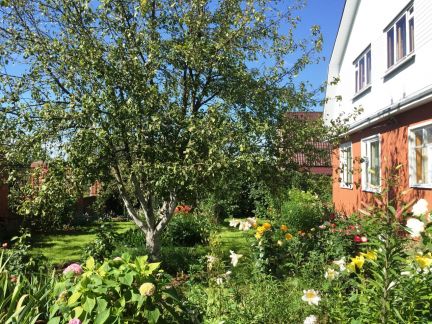 ������ ��� �� 50 �� �� ���� ���������� ������� ��������-��������� ����� ������� ������� (���� �2)