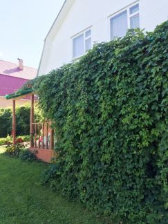 ������ ��� �� 50 �� �� ���� ���������� ������� ��������-��������� ����� ������� ������� (���� �7)