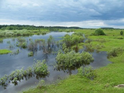 ������ ��������� ������� ������� (���� �2)