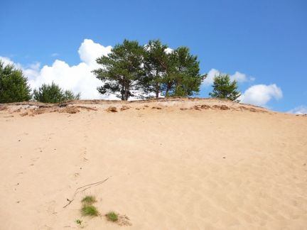 ������ ��������� ������� ������� (���� �4)