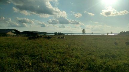 ������ ��������� ������� ������� ������ (���� �3)