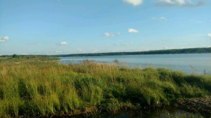 ������ ��������� ������� ������� ������ (���� �2)