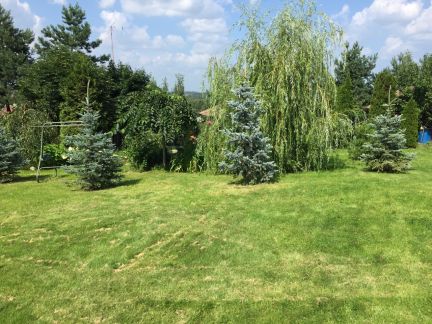 ������ ��� �� 60 �� �� ���� ������� ���������� (���� �8)