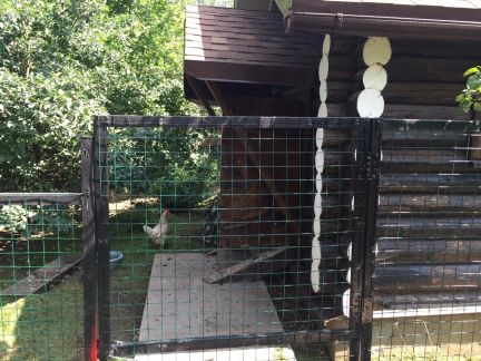 ������ ��� �� 60 �� �� ���� ������� ���������� (���� �9)